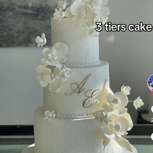 The Sweet Delight of Cakes